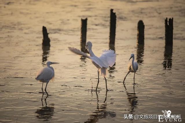 全国10城“就地过年”文旅福利，看看哪里最有诚意-8.jpg