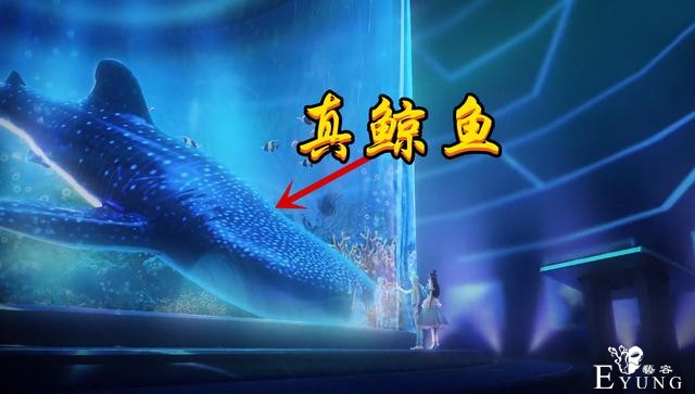 王默和水王子两次约会看鲸鱼，第一次是假鲸鱼，第二次竟是真鲸鱼-5.jpg