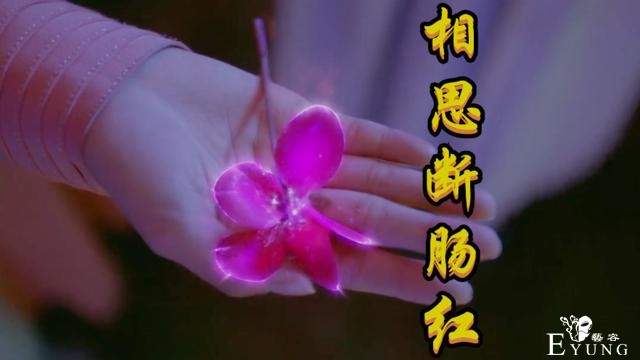 斗罗电视剧，唐三母亲阿银现身，粉丝看后哭了，原来真的是蓝银草-3.jpg