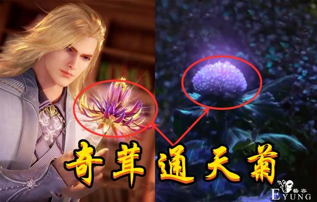 斗罗真人版，极品仙草登场，通天菊变野菊花，相思断肠花变小野花-1.jpg