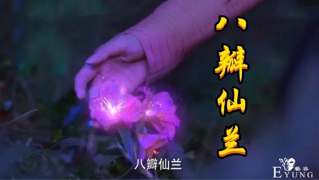 斗罗真人版，极品仙草登场，通天菊变野菊花，相思断肠花变小野花-2.jpg