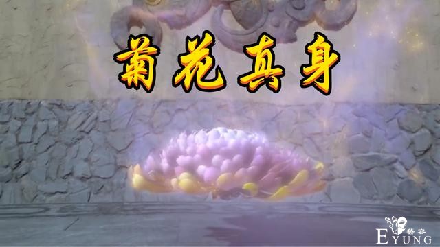 斗罗真人版95级菊斗罗玩新花样，菊花真身逼真，菊花传音真搞笑-3.jpg