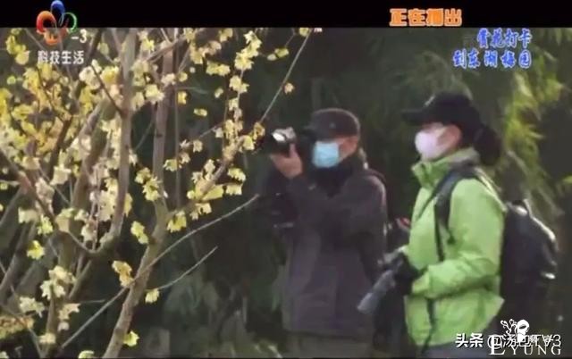 春节游玩好去处！赏花打卡从东湖梅园开始-3.jpg