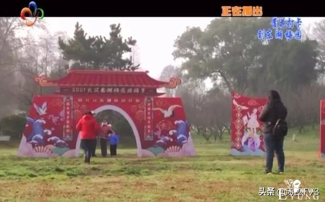 春节游玩好去处！赏花打卡从东湖梅园开始-7.jpg