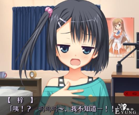Galgame在二次元圈中算非常小众？简单分析其小众的原因-6.jpg