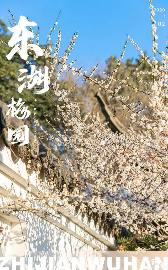 武汉巨好出片的东湖梅园，我劝你春天一定要来一次-1.jpg