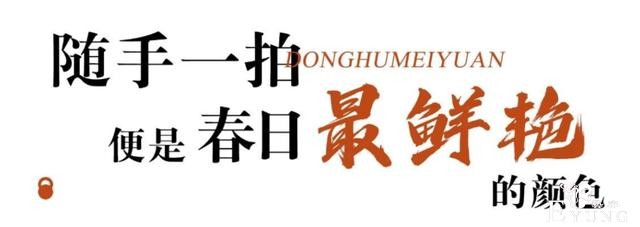 武汉巨好出片的东湖梅园，我劝你春天一定要来一次-9.jpg