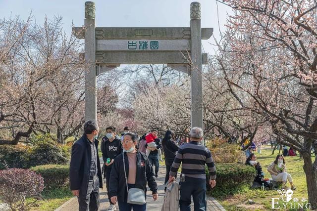 武汉巨好出片的东湖梅园，我劝你春天一定要来一次-11.jpg