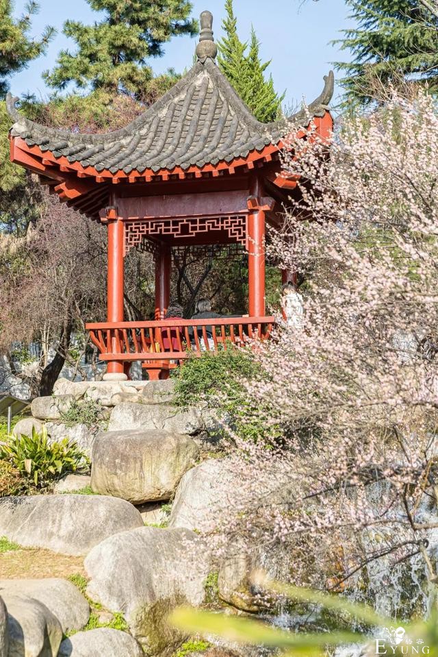 武汉巨好出片的东湖梅园，我劝你春天一定要来一次-16.jpg