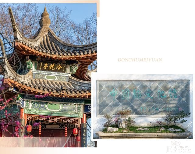 武汉巨好出片的东湖梅园，我劝你春天一定要来一次-21.jpg