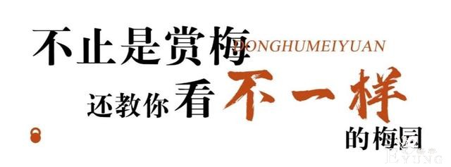 武汉巨好出片的东湖梅园，我劝你春天一定要来一次-19.jpg