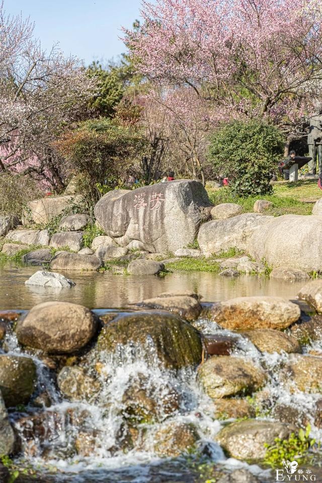 武汉巨好出片的东湖梅园，我劝你春天一定要来一次-24.jpg