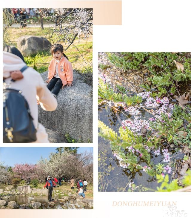 武汉巨好出片的东湖梅园，我劝你春天一定要来一次-25.jpg