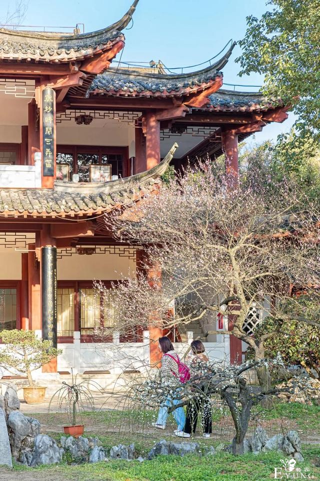 武汉巨好出片的东湖梅园，我劝你春天一定要来一次-31.jpg