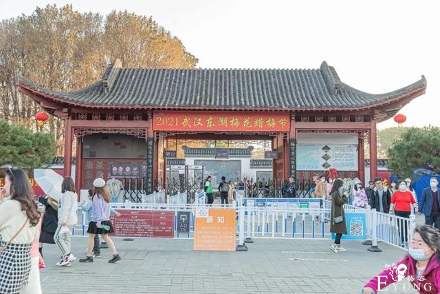 武汉巨好出片的东湖梅园，我劝你春天一定要来一次-35.jpg