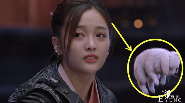 斗罗真人版，柔骨魅兔登场，小舞吻别唐三，肖战晕倒流泪演技炸裂-2.jpg