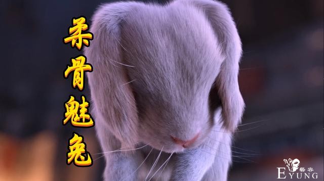斗罗真人版的五个完结特效，柔骨兔和九尾狐都不错，昊天真身无语-2.jpg