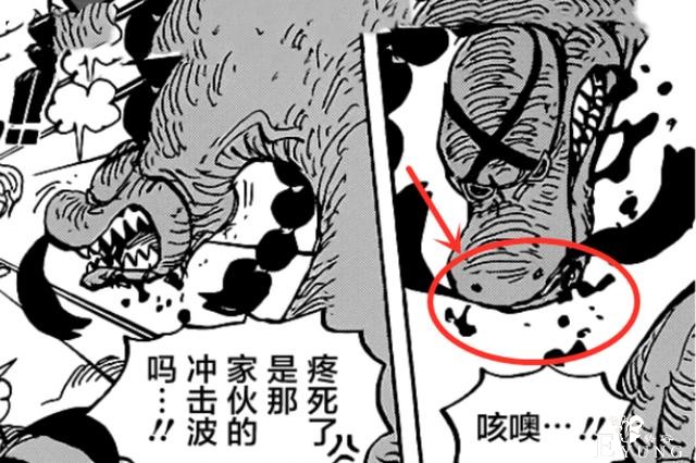 海贼王7亿海贼盯上马尔高，单挑20亿的小马哥将扑街，结局很惨-1.jpg