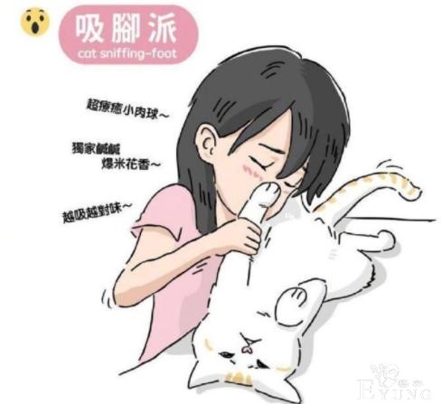 网友分享“吸猫”四大流派，不好意思，我是第五种：给我变派的-4.jpg