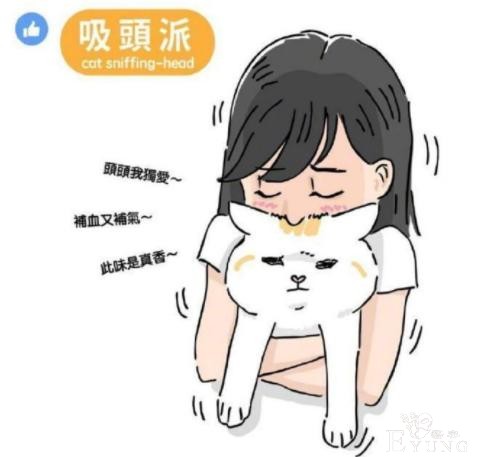 网友分享“吸猫”四大流派，不好意思，我是第五种：给我变派的-5.jpg