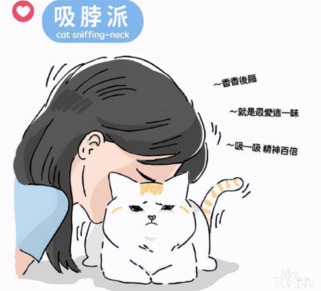 网友分享“吸猫”四大流派，不好意思，我是第五种：给我变派的-3.jpg