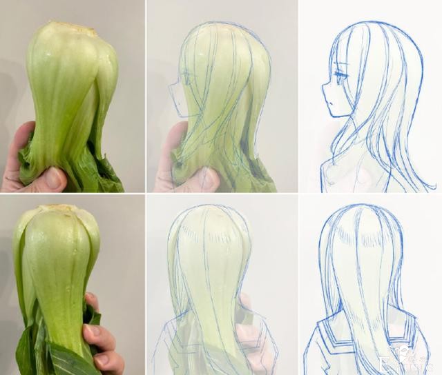 画师大佬分享画动漫美少女的方法：首先，你需要一颗青菜-1.jpg