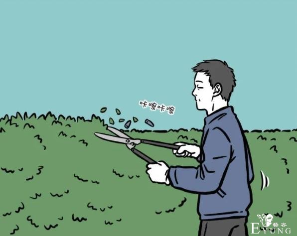 非人哉：本以为龙角很硬，结果剪刀都剪得断，用手都掰得下来-2.jpg