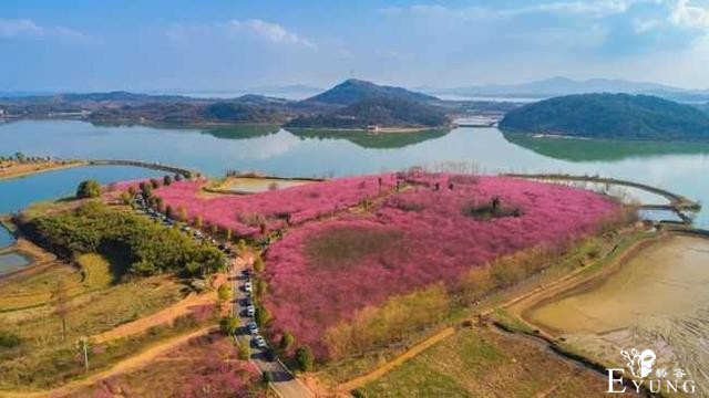 赏花胜地，有机会一定要去看看。-12.jpg