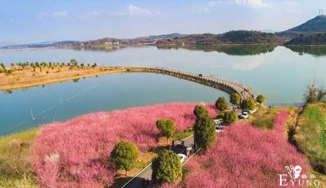 赏花胜地，有机会一定要去看看。-10.jpg