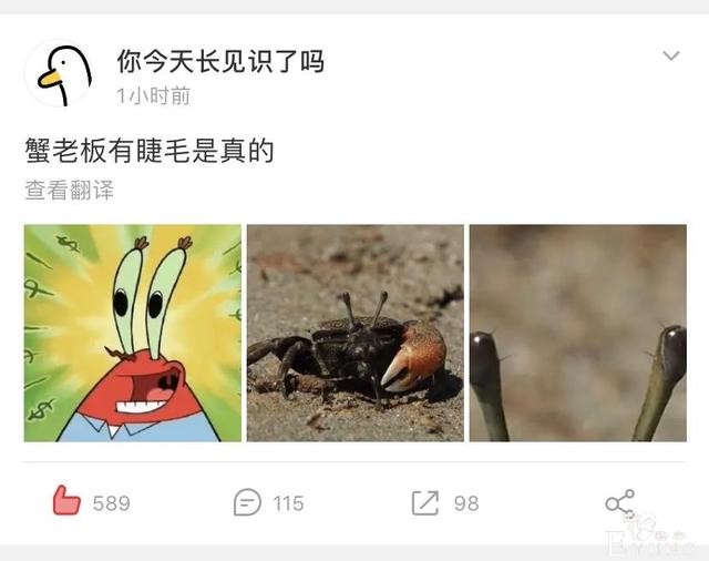 美国封禁的两集《海绵宝宝》，网友表示：双手赞成，再封几集-1.jpg
