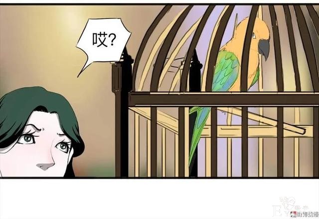 人性漫画：《甜蜜小岛》只喜欢床上的动物-8.jpg