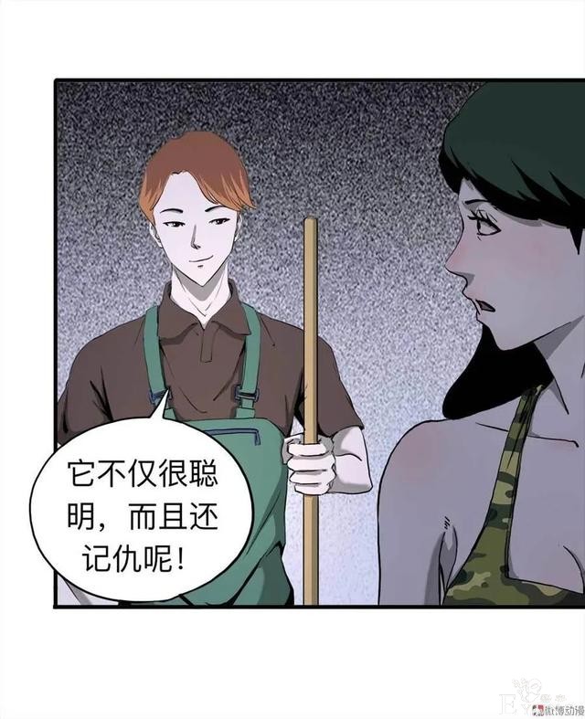 人性漫画：《甜蜜小岛》只喜欢床上的动物-13.jpg
