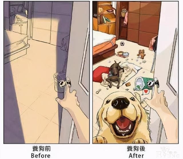 画师大佬分享养狗前后的区别，钱包越来越薄，惨遭狗子“拆家”-4.jpg