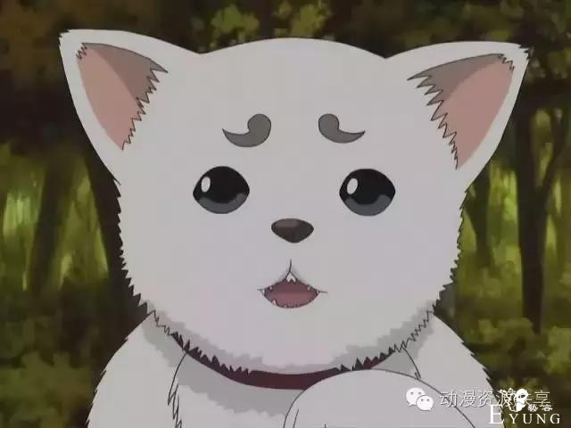 狐狸，二次元中的幻想-5.jpg