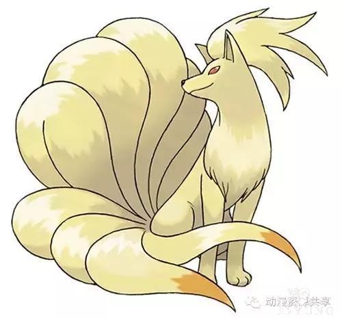 狐狸，二次元中的幻想-7.jpg