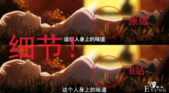 因为“先审后播，画面和谐”，漫迷就无条件支持盗版动漫？-2.jpg