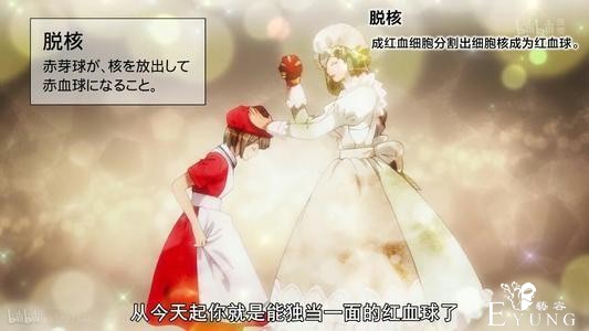喜欢动漫的人越来越多，二次元会从亚文化转变为主流么？-6.jpg