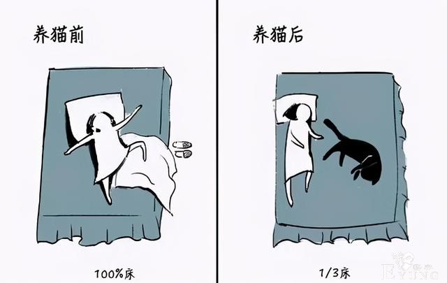 网友分享养猫前后的区别，感觉多了一位主子？痛并愉快着-3.jpg