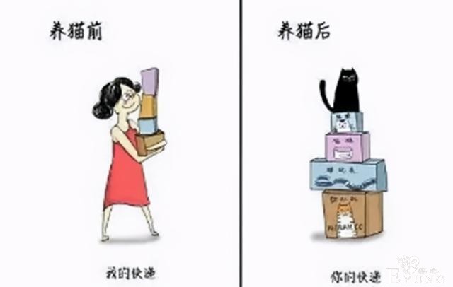 网友分享养猫前后的区别，感觉多了一位主子？痛并愉快着-2.jpg