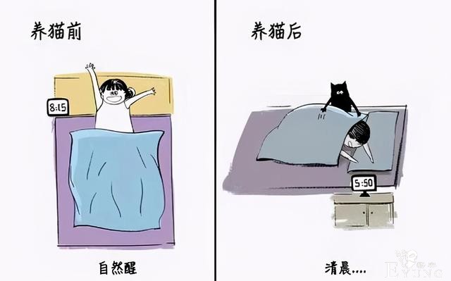 网友分享养猫前后的区别，感觉多了一位主子？痛并愉快着-7.jpg