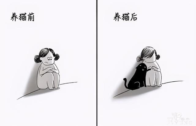 网友分享养猫前后的区别，感觉多了一位主子？痛并愉快着-5.jpg