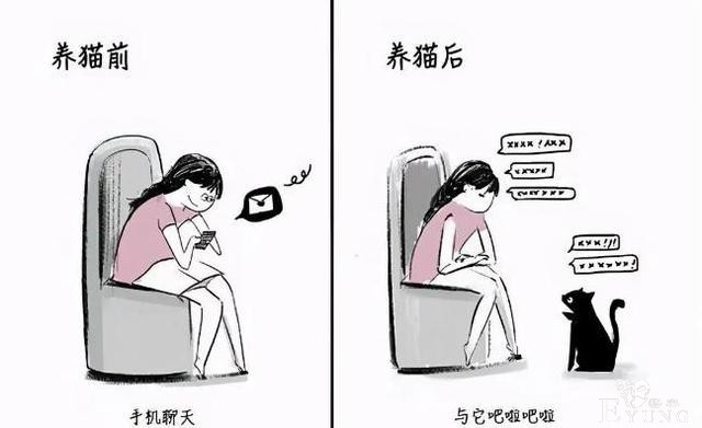 网友分享养猫前后的区别，感觉多了一位主子？痛并愉快着-6.jpg