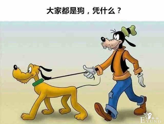 网友分享了一波小时候看过的欧美动画，好像哪里不对的样子-1.jpg