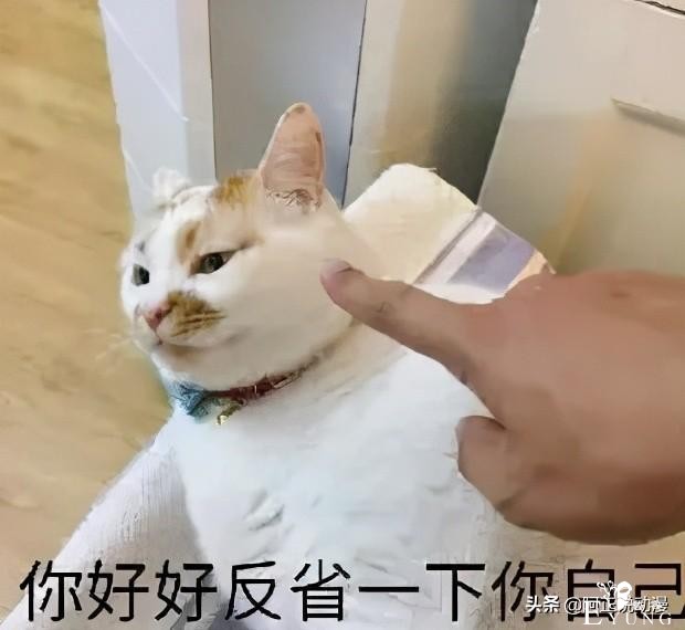 美国枪击犯留言要和彩虹小马在一起之后枪杀多人并自杀｜ACGN新闻-6.jpg