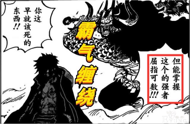海贼王：官方公布霸气资料，霸王色有四个等级，艾斯只会“初级”-1.jpg