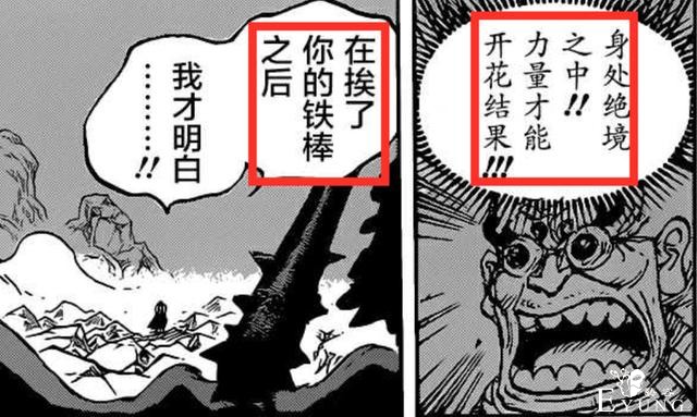海贼王：官方公布霸气资料，霸王色有四个等级，艾斯只会“初级”-5.jpg