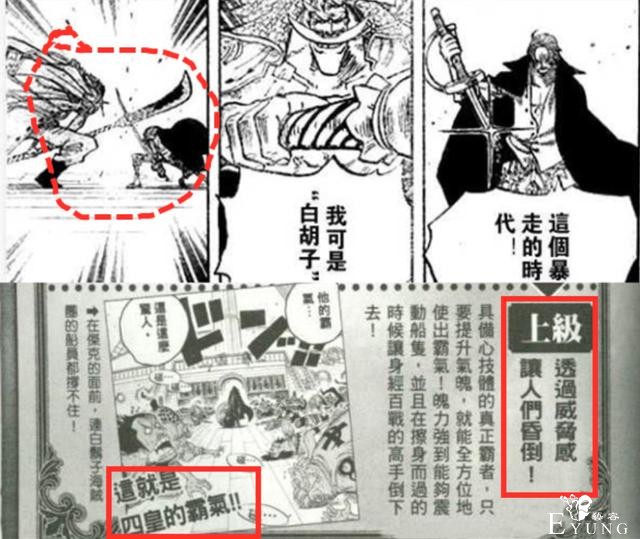 海贼王：官方公布霸气资料，霸王色有四个等级，艾斯只会“初级”-4.jpg
