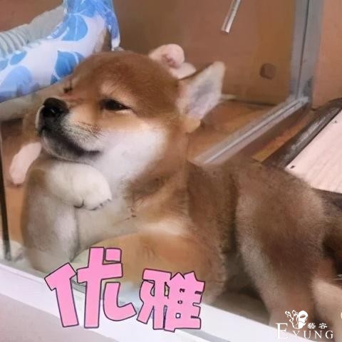 Biu~biu~biu ! 汉服博览会场馆大变装……-4.jpg