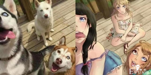 猫咪变姐妹，二哈变御姐，这二次元遇到三次元，还是二次元好啊-2.jpg