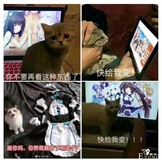 为大家推荐十款良心恋爱GALGAME——上篇-6.jpg
